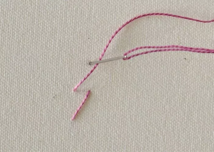 Whip stitch embroidery step 2