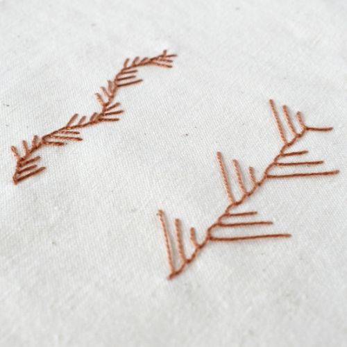 Die Spitze von Maidenhair